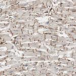 Stabilin 1 Antibody in Immunohistochemistry (Paraffin) (IHC (P))