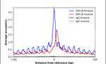 ZNF18 Antibody in ChIP Assay (ChIP)