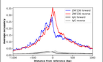 ZNF236 Antibody in ChIP Assay (ChIP)