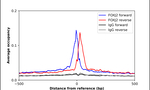 FOXJ2 Antibody in ChIP Assay (ChIP)