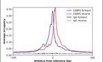 C/EBP gamma Antibody in ChIP Assay (ChIP)