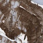 Vinexin Polyclonal Antibody