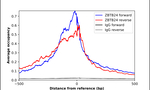 ZBTB24 Antibody in ChIP Assay (ChIP)