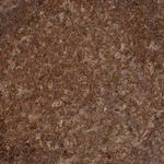 RNF157 Polyclonal Antibody