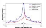 ZNF341 Antibody in ChIP Assay (ChIP)