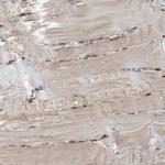 Cdc42EP4 Antibody in Immunohistochemistry (Paraffin) (IHC (P))