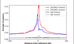 ZNF38 Antibody in ChIP Assay (ChIP)