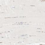 OTOP2 Antibody in Immunohistochemistry (Paraffin) (IHC (P))