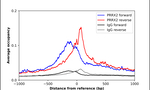 PRRX2 Antibody in ChIP Assay (ChIP)
