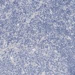 ABHD12 Polyclonal Antibody