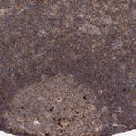 KIF21B Polyclonal Antibody