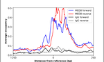 MED8 Antibody in ChIP Assay (ChIP)