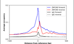 ZNF260 Antibody in ChIP Assay (ChIP)