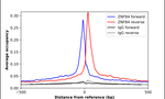 ZNF84 Antibody in ChIP Assay (ChIP)