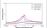ELK4 Antibody in ChIP Assay (ChIP)