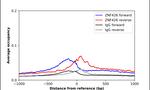 ZNF426 Antibody in ChIP Assay (ChIP)