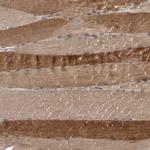 Cullin 7 Polyclonal Antibody