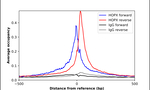 Hopx Antibody in ChIP Assay (ChIP)