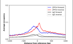 ZFP14 Antibody in ChIP Assay (ChIP)