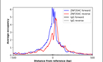 ZNF354C Antibody in ChIP Assay (ChIP)