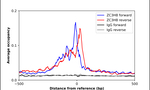 ZC3H8 Antibody in ChIP Assay (ChIP)