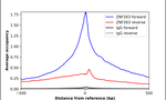 ZNF263 Antibody in ChIP Assay (ChIP)