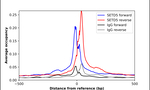 SETD5 Antibody in ChIP Assay (ChIP)