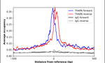 THAP6 Antibody in ChIP Assay (ChIP)