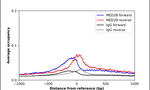MED28 Antibody in ChIP Assay (ChIP)