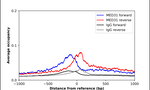 MED31 Antibody in ChIP Assay (ChIP)