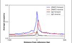 ZMAT2 Antibody in ChIP Assay (ChIP)