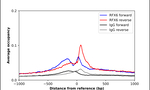 RFX6 Antibody in ChIP Assay (ChIP)