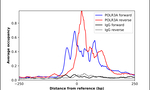 POLR3A Antibody in ChIP Assay (ChIP)