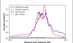 POU4F3 Antibody in ChIP Assay (ChIP)