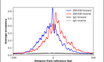 ZN438 Antibody in ChIP Assay (ChIP)