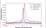 LEUTX Antibody in ChIP Assay (ChIP)