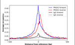 PROX2 Antibody in ChIP Assay (ChIP)
