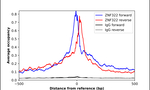 ZNF322A Antibody in ChIP Assay (ChIP)