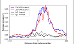 ZNF577 Antibody in ChIP Assay (ChIP)