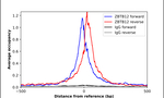 ZBTB12 Antibody in ChIP Assay (ChIP)