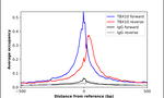 TBX10 Antibody in ChIP Assay (ChIP)