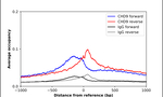 CHD9 Antibody in ChIP Assay (ChIP)