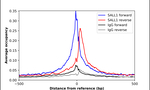SALL1 Antibody in ChIP Assay (ChIP)