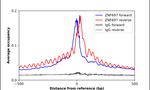 ZNF697 Antibody in ChIP Assay (ChIP)