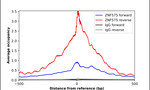 ZNF575 Antibody in ChIP Assay (ChIP)