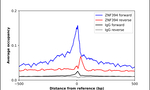 ZNF394 Antibody in ChIP Assay (ChIP)