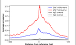 ZNF256 Antibody in ChIP Assay (ChIP)