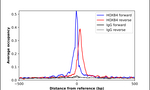 HOXB4 Antibody in ChIP Assay (ChIP)