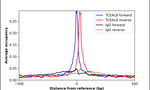 TCEAL8 Antibody in ChIP Assay (ChIP)