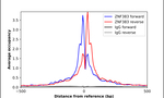 ZNF383 Antibody in ChIP Assay (ChIP)